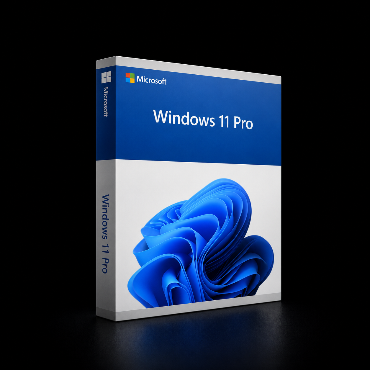 Windows 11 Pro Key (OEM)